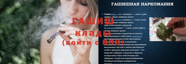 ГАЛЛЮЦИНОГЕННЫЕ ГРИБЫ Балахна