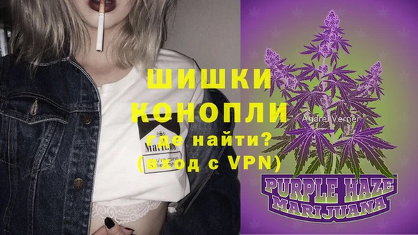 ГАЛЛЮЦИНОГЕННЫЕ ГРИБЫ Балахна