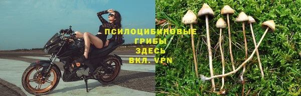 альфа пвп Баксан