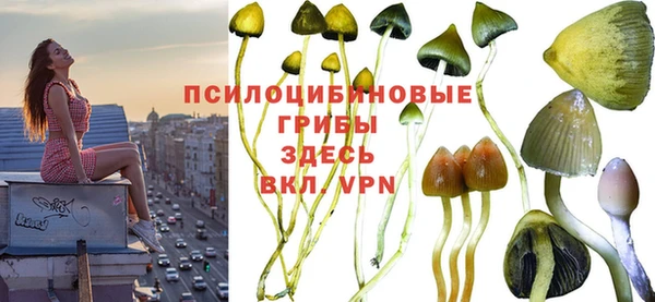 ГАЛЛЮЦИНОГЕННЫЕ ГРИБЫ Балахна